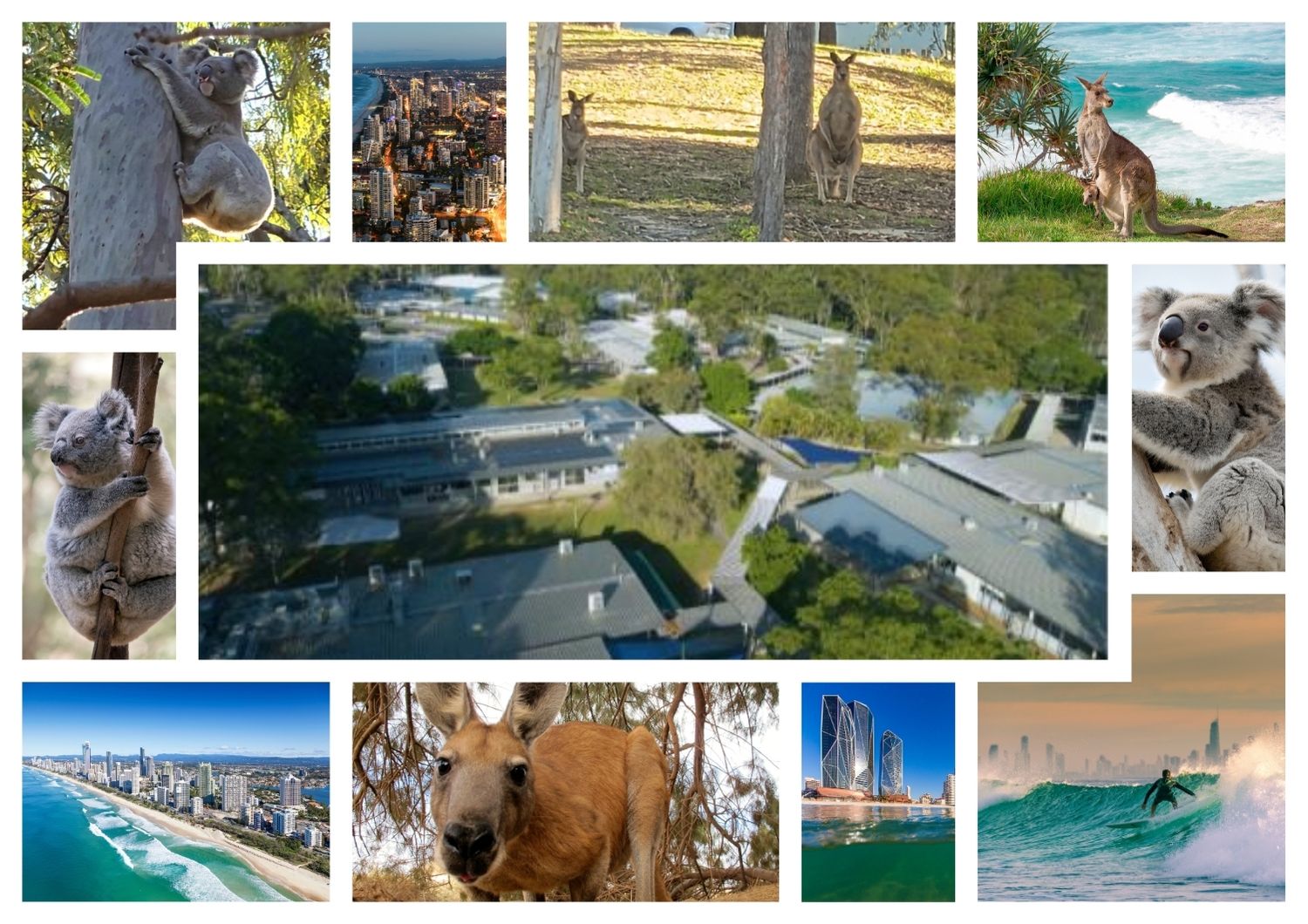 International students exploring Australian destinations